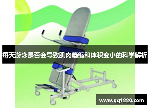每天游泳是否会导致肌肉萎缩和体积变小的科学解析